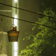 A cat rides in a bucket in Stray.